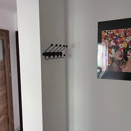 Parkowa Centrum Apartment *